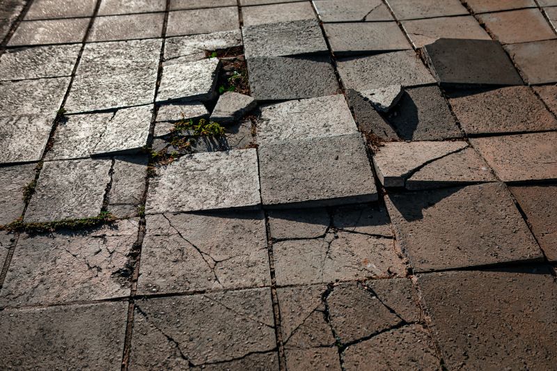Spring Pavers Repair