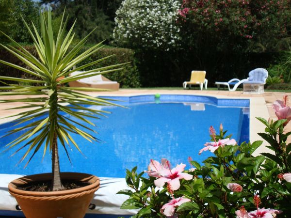 Cost of Pool Terrace Renovation in Daphne